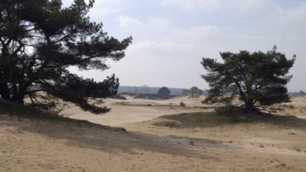 Kale Duinen